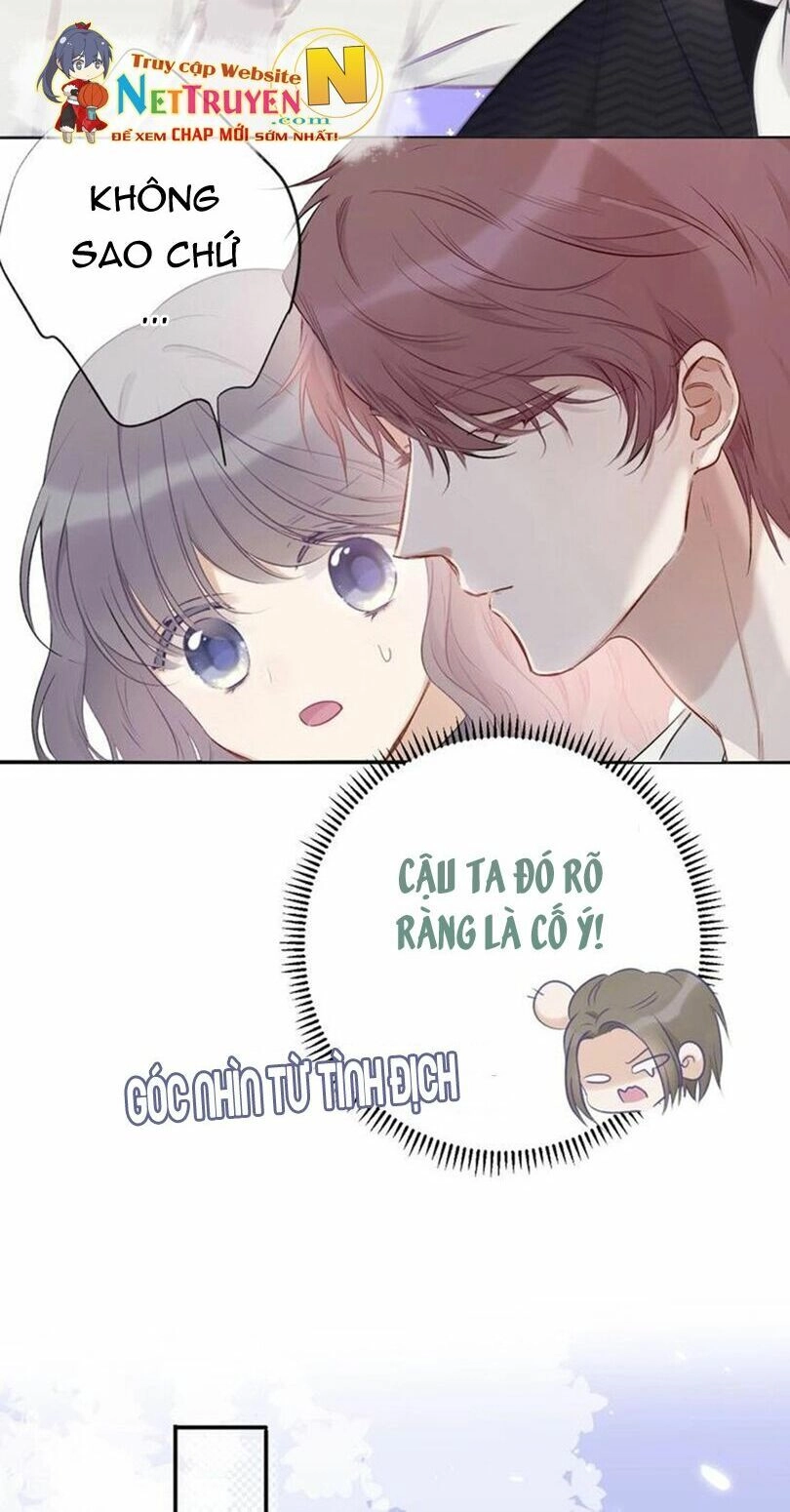 Đừng Để Tôi Bảo Vệ Chapter 22 - 6