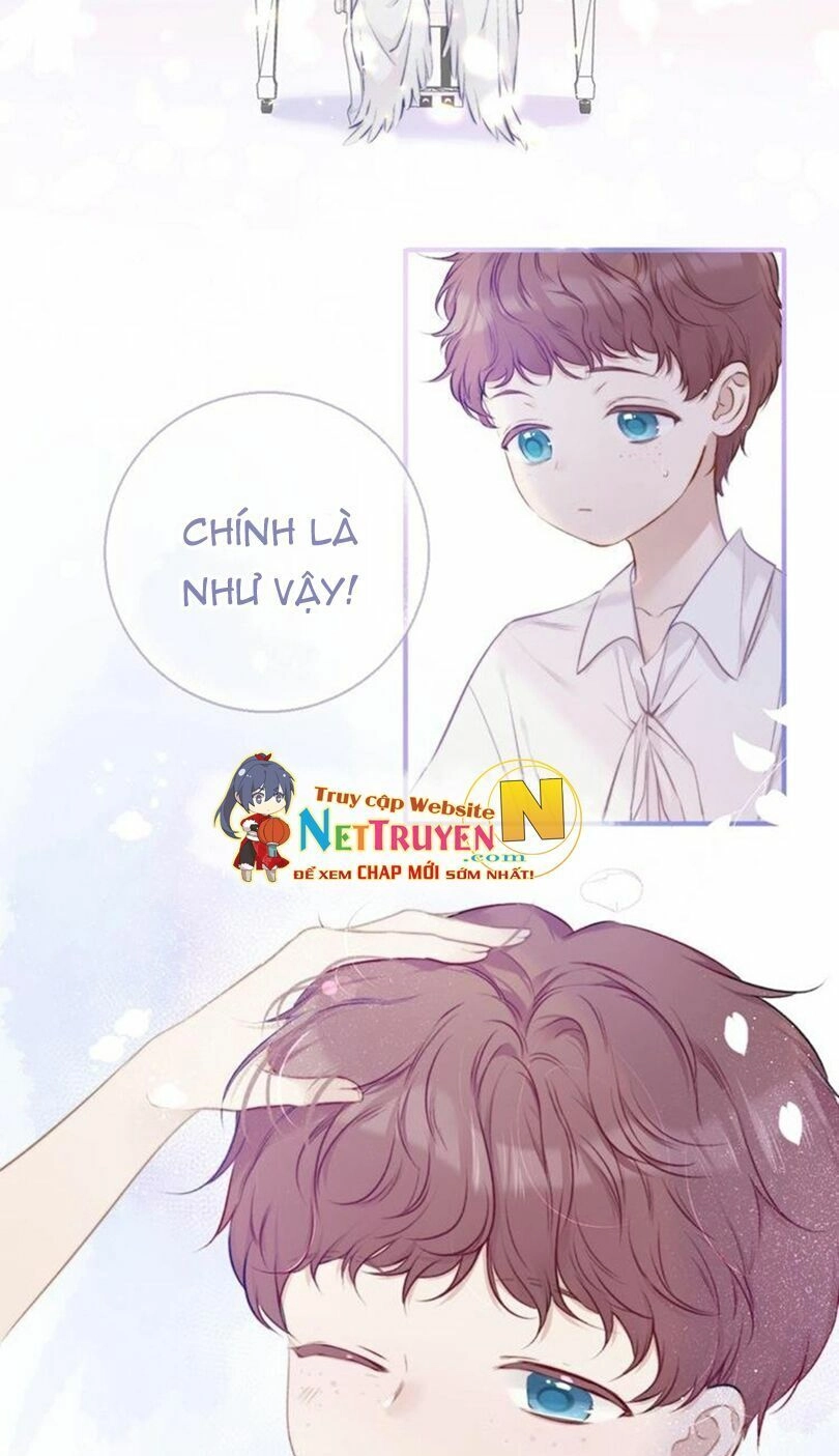 Đừng Để Tôi Bảo Vệ Chapter 22 - 19