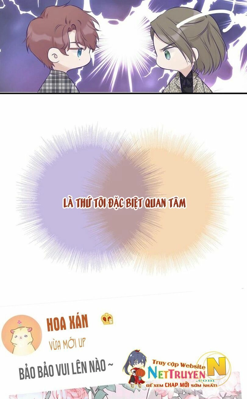 Đừng Để Tôi Bảo Vệ Chapter 26 - 25