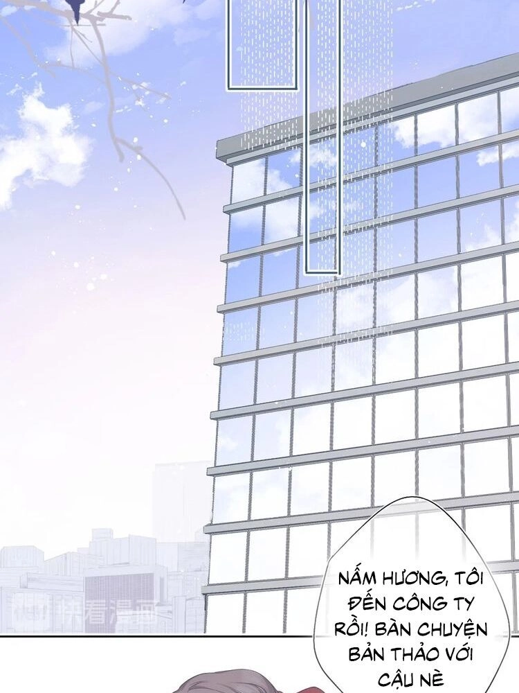 Đừng Để Tôi Bảo Vệ Chapter 71 - 17