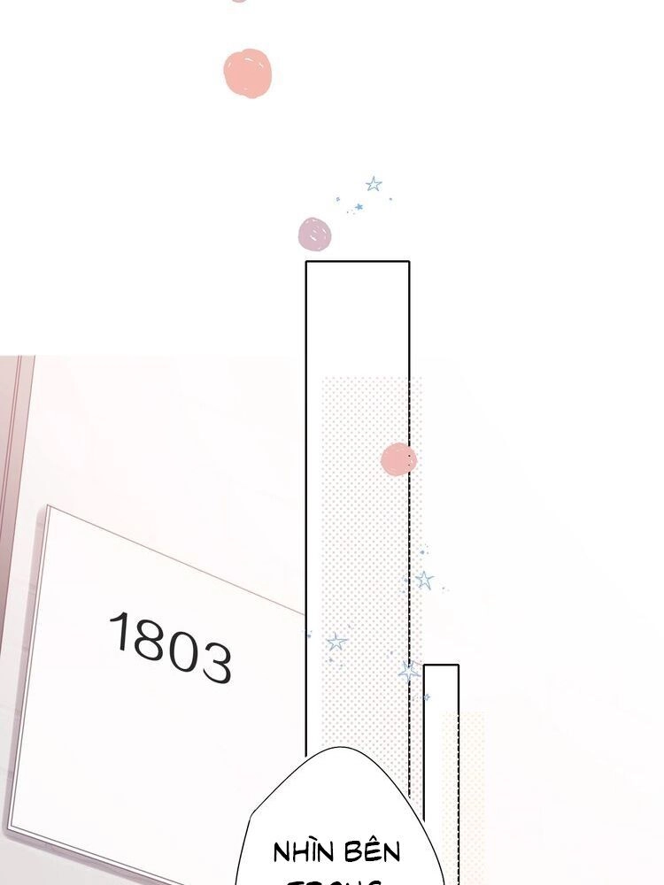 Đừng Để Tôi Bảo Vệ Chapter 71 - 21