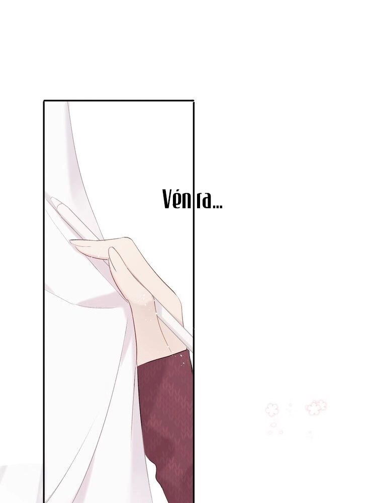 Đừng Để Tôi Bảo Vệ Chapter 72 - 19