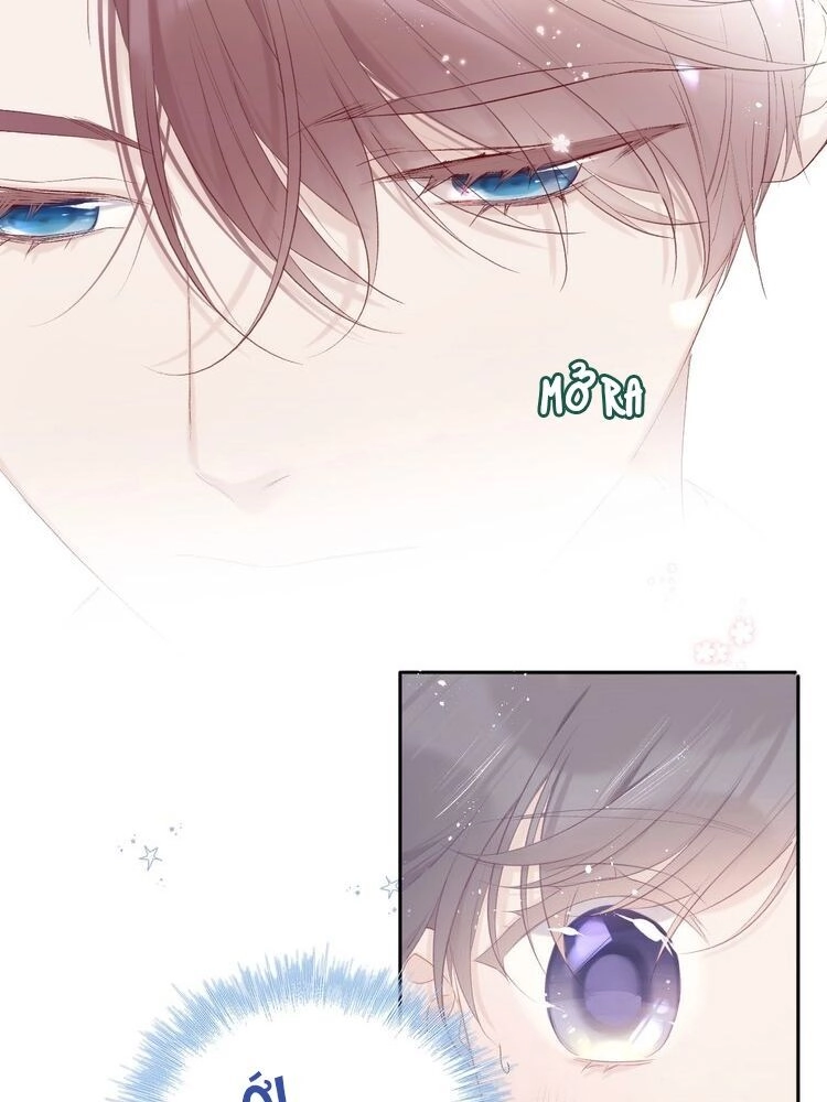 Đừng Để Tôi Bảo Vệ Chapter 72 - 24