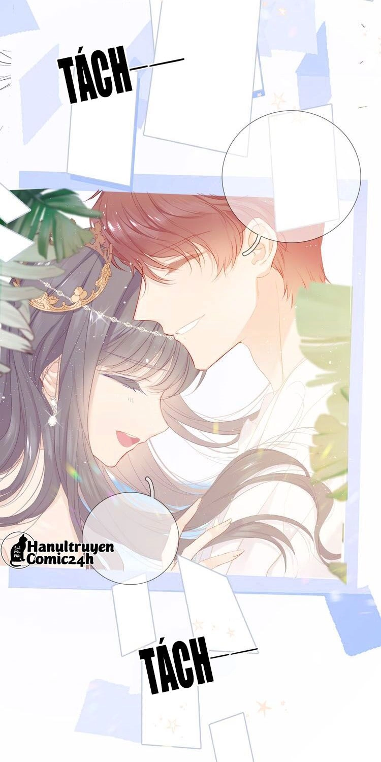 Đừng Để Tôi Bảo Vệ Chapter 86 - 15