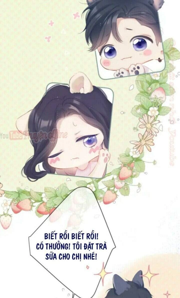 Đừng Để Tôi Bảo Vệ Chapter 91 - 24