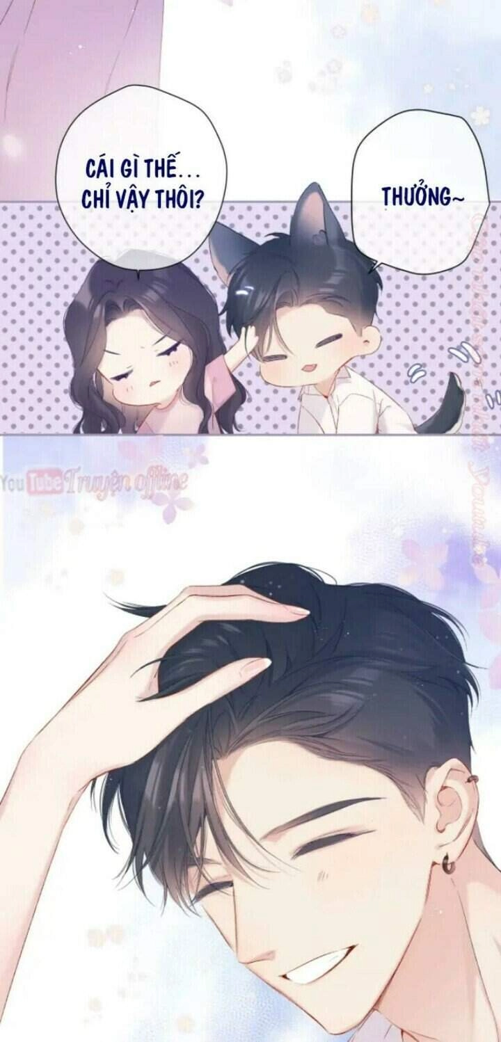 Đừng Để Tôi Bảo Vệ Chapter 91 - 30