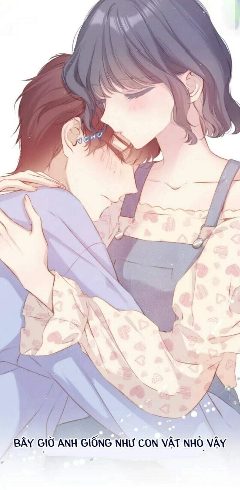 Đừng Để Tôi Bảo Vệ Chapter 132 - 19