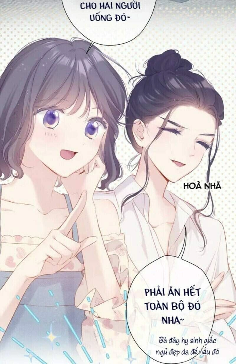 Đừng Để Tôi Bảo Vệ Chapter 133 - 13