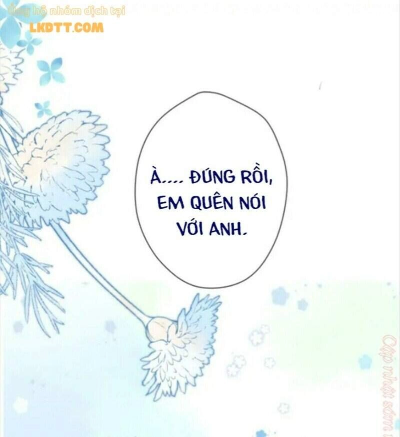 Đừng Để Tôi Bảo Vệ Chapter 134 - 16