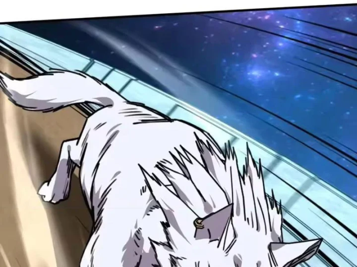 Bắt đầu chuyển chức tài thần, ta chuyển hóa triệu vạn thần sủng Chapter 70 - 79