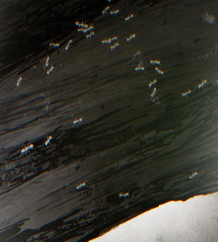 Beastly Things Chapter 50 - 92