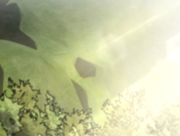 Sau Khi Tự Do Tài Chính, Họ Đã Dâng Hiến Lòng Trung Thành Chapter 77 - 63