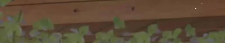 Sau Khi Tự Do Tài Chính, Họ Đã Dâng Hiến Lòng Trung Thành Chapter 83 - 38