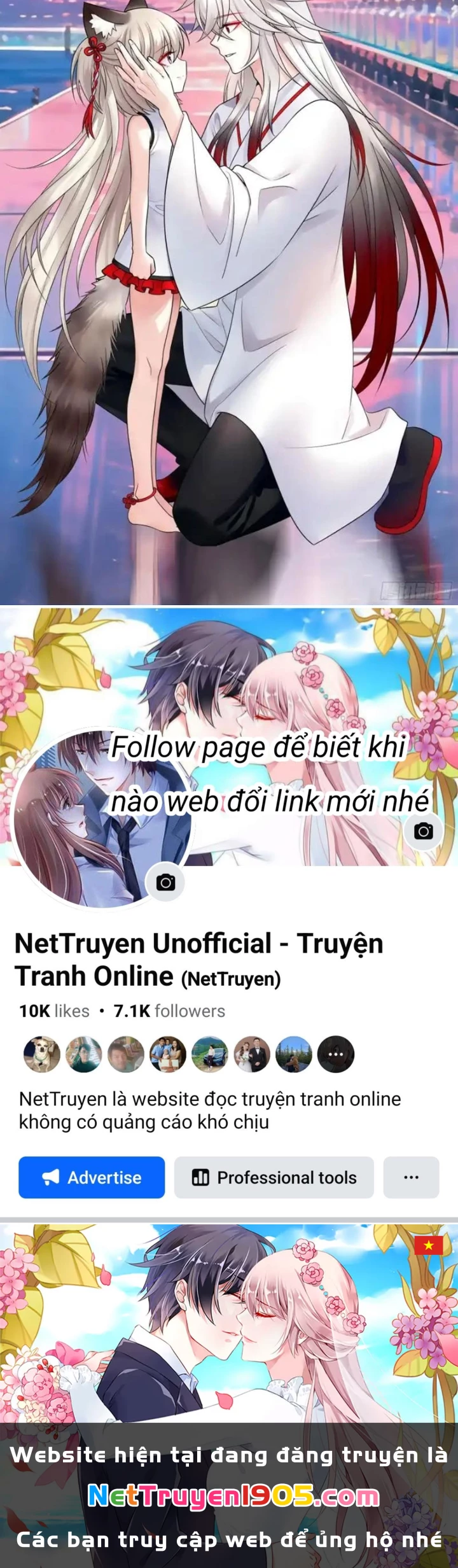 Ta biến thành miêu nương Chapter 55 - 47