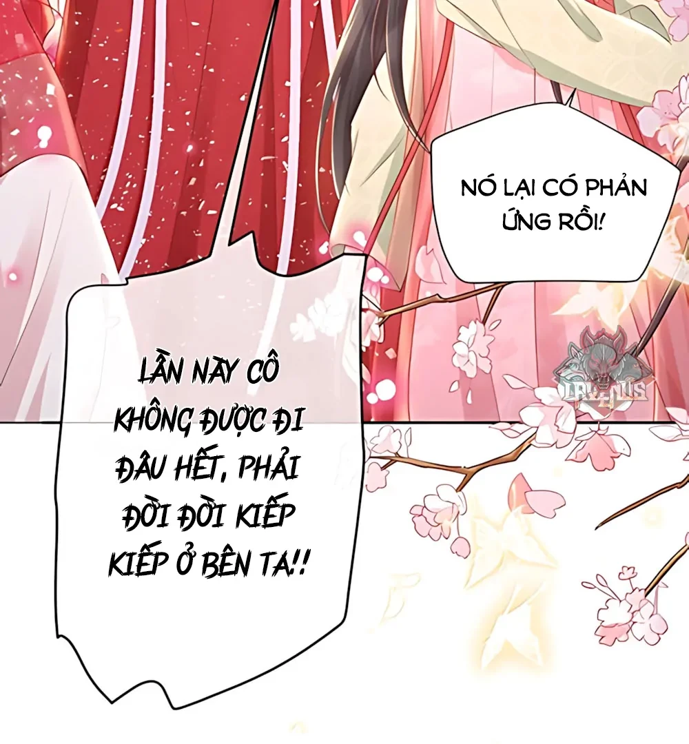 Tiểu Thư Ma Nữ, Cấm Dính Sát! Chapter 41 - 79