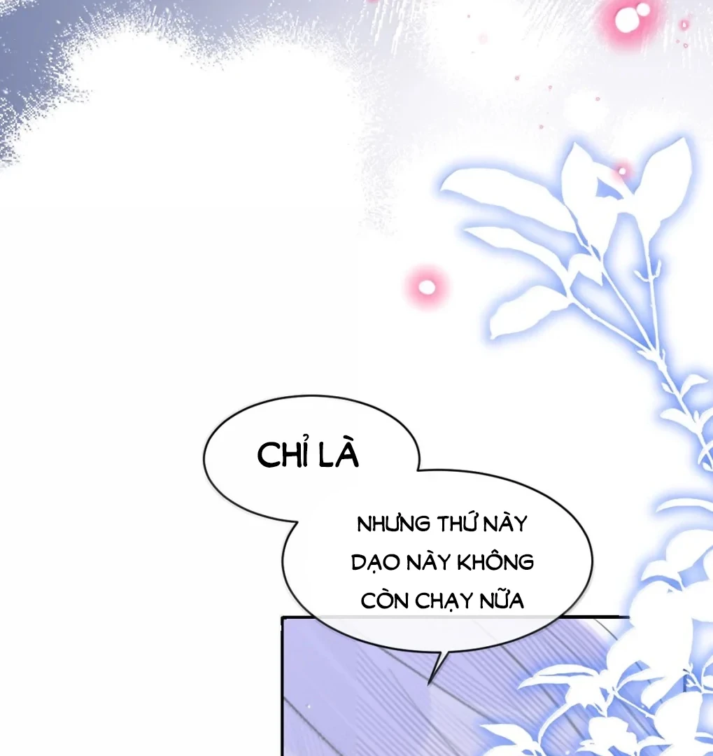 Tiểu Thư Ma Nữ, Cấm Dính Sát! Chapter 42 - 54