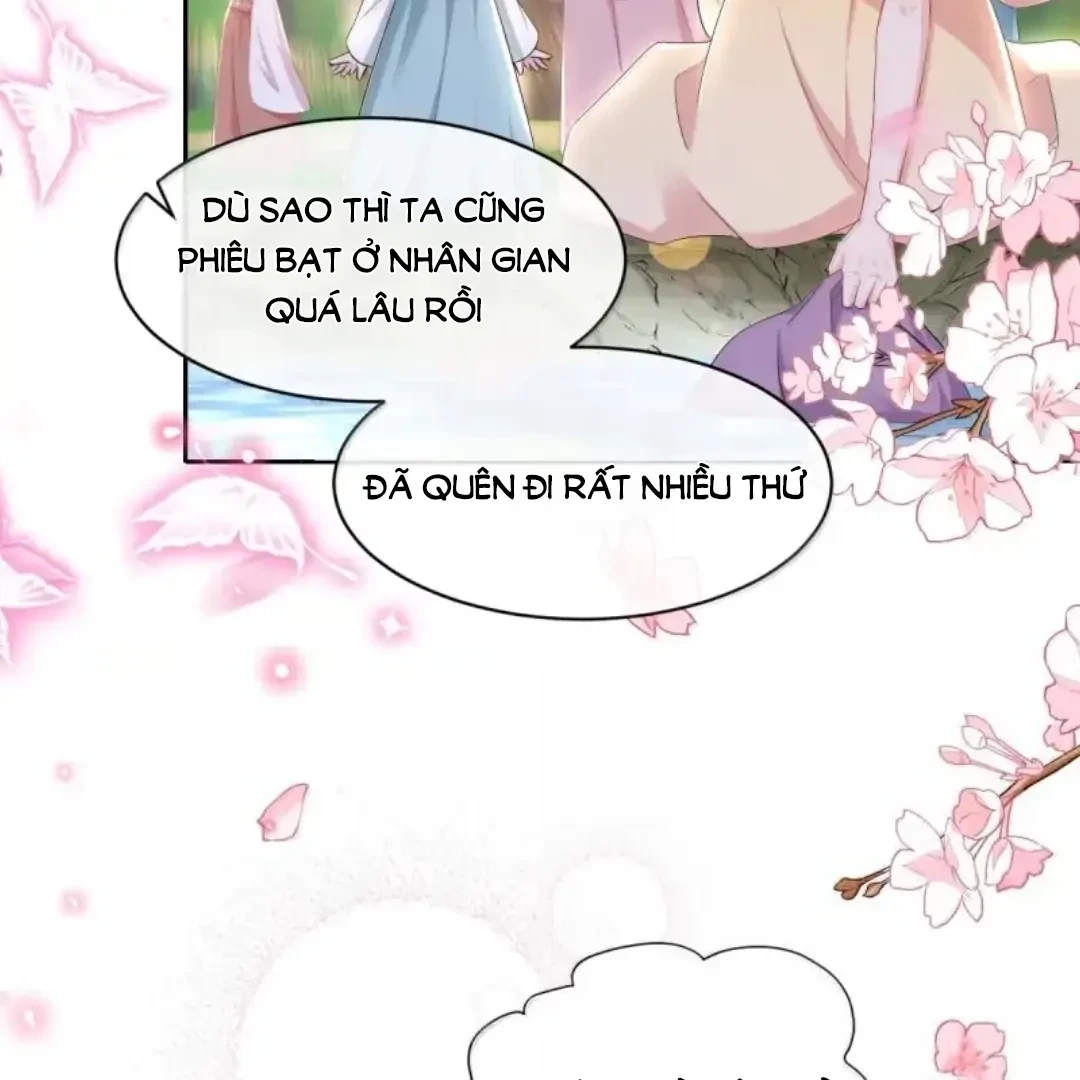 Tiểu Thư Ma Nữ, Cấm Dính Sát! Chapter 44 - 10