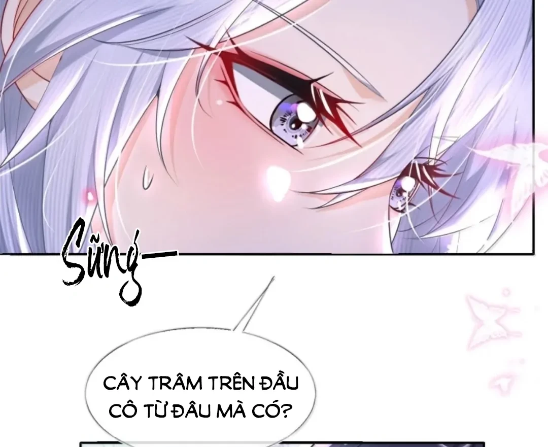 Tiểu Thư Ma Nữ, Cấm Dính Sát! Chapter 33 - 11