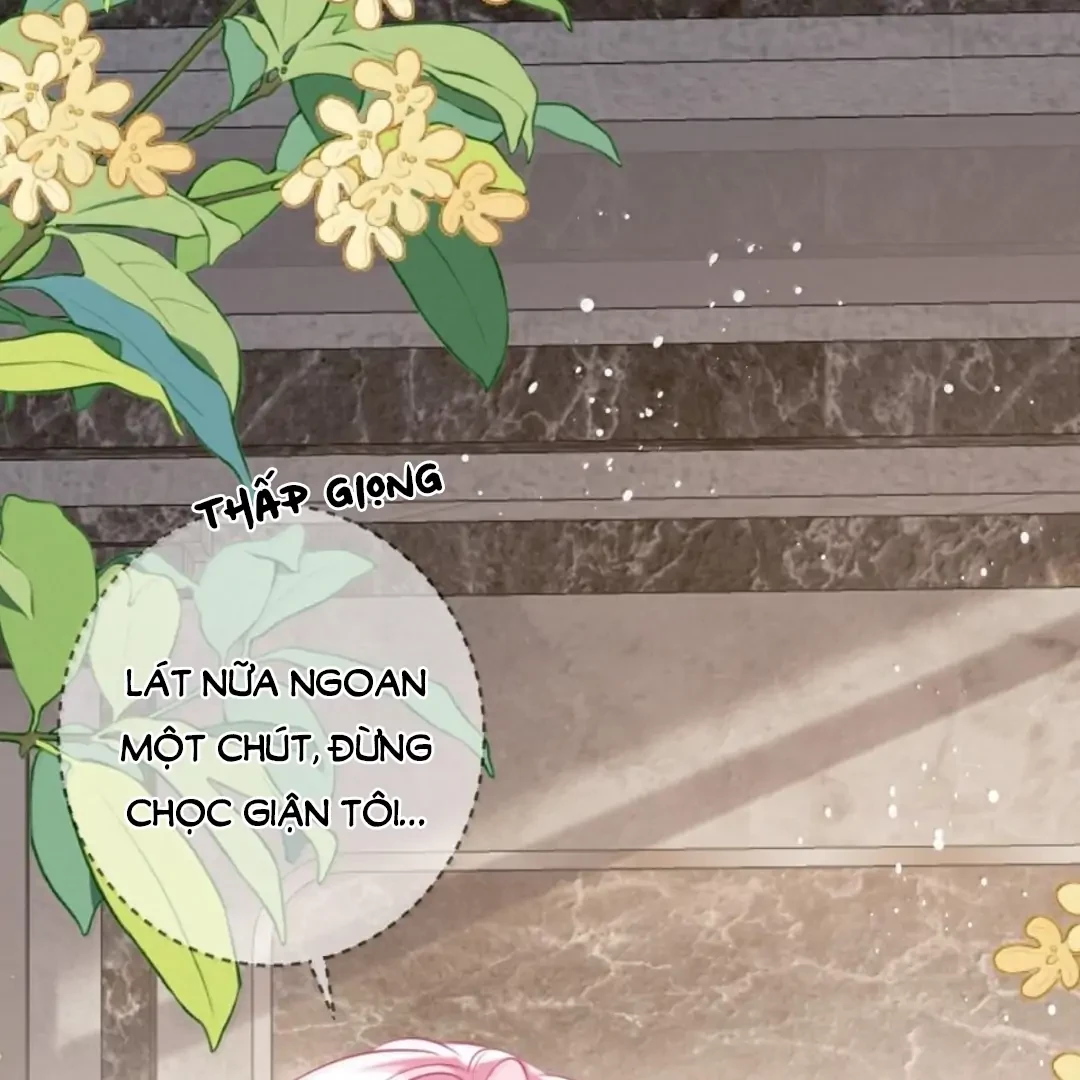 Bạch Nguyệt Quang Cô Ấy Luôn Muốn Đánh Dấu Tôi Chapter 40 - 80