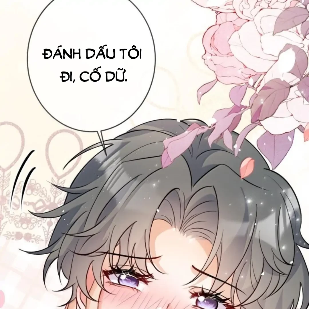 Bạch Nguyệt Quang Cô Ấy Luôn Muốn Đánh Dấu Tôi Chapter 41 - 45