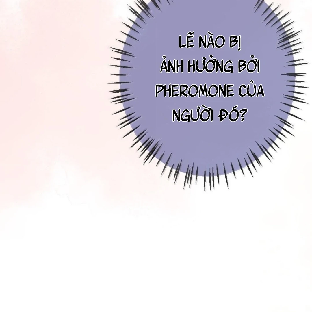 Bạch Nguyệt Quang Cô Ấy Luôn Muốn Đánh Dấu Tôi Chapter 42 - 42