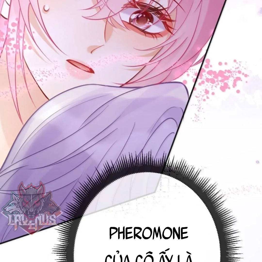 Bạch Nguyệt Quang Cô Ấy Luôn Muốn Đánh Dấu Tôi Chapter 43 - 6