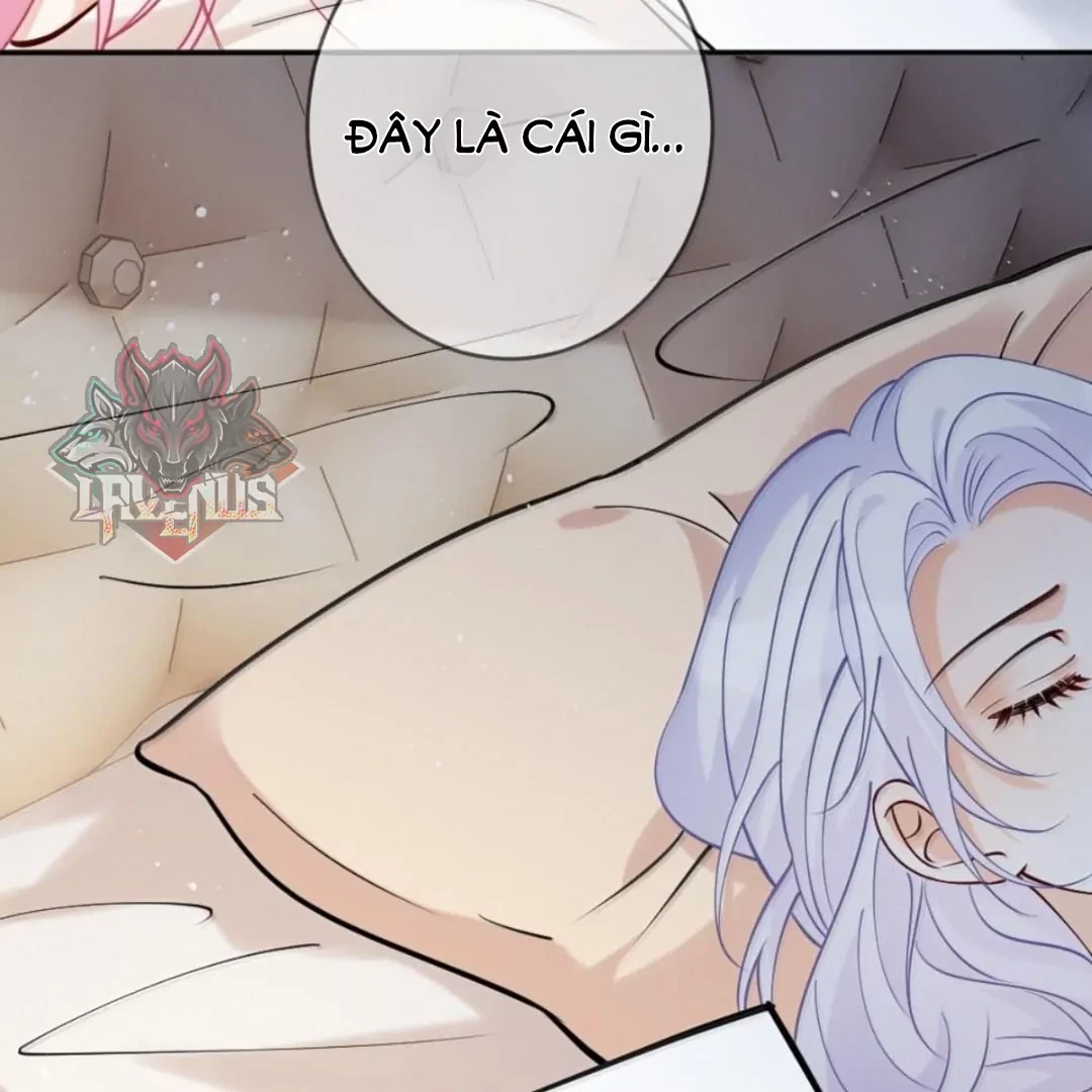 Bạch Nguyệt Quang Cô Ấy Luôn Muốn Đánh Dấu Tôi Chapter 43 - 44