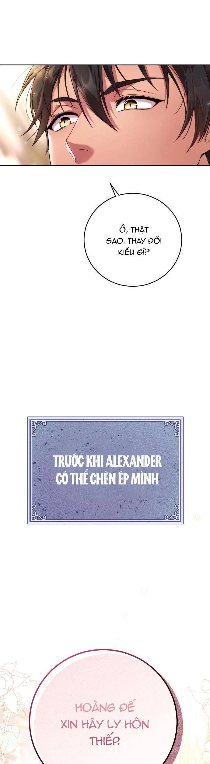 Tôi Sẽ Ly Hôn Với Người Chồng Bạo Chúa Của Mình Chapter 1 - 57