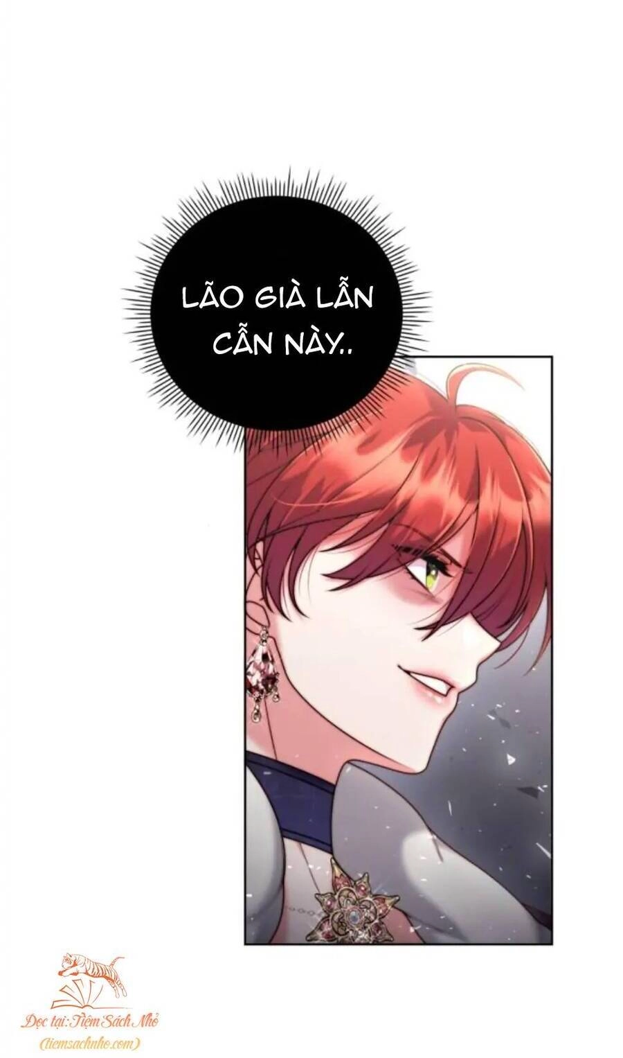 Tôi Sẽ Ly Hôn Với Người Chồng Bạo Chúa Của Mình Chapter 8 - 15