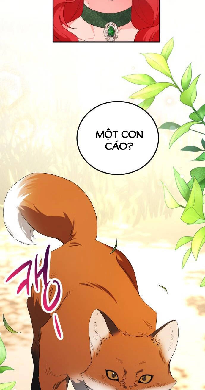 Tôi Sẽ Ly Hôn Với Người Chồng Bạo Chúa Của Mình Chapter 66.1 - 14