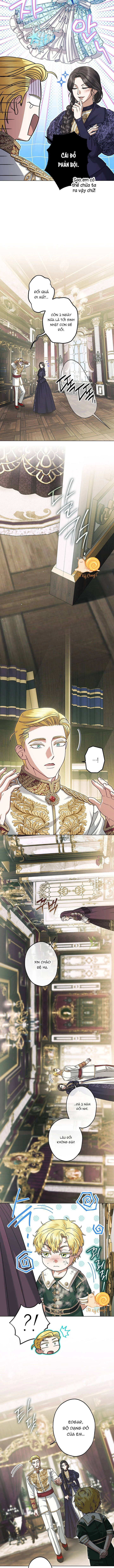 Tôi Trở Thành Em Vợ Út Của Các Nam Chính Trong Tiểu Thuyết Harem Ngược U Ám Chapter  62 - 11