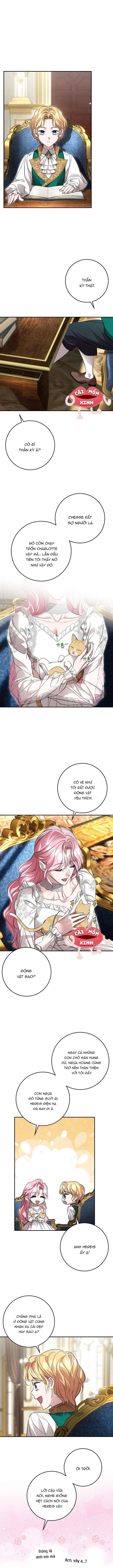 Cuộc Hôn Nhân Bị Bắt Cóc Xuyên Thời Gian Của Hoàng Hậu Chapter 42 - 8