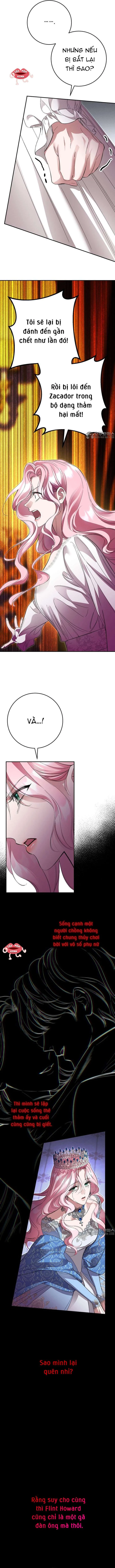 Cuộc Hôn Nhân Bị Bắt Cóc Xuyên Thời Gian Của Hoàng Hậu Chapter 50 - 5