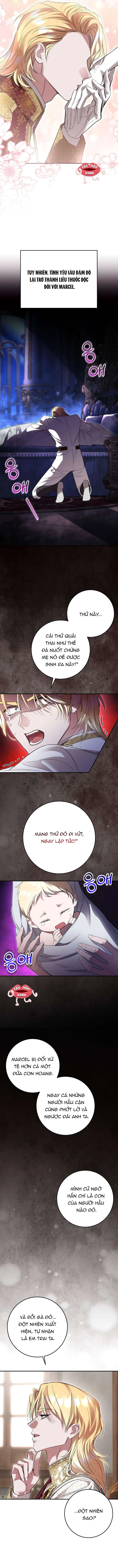 Cuộc Hôn Nhân Bị Bắt Cóc Xuyên Thời Gian Của Hoàng Hậu Chapter 55 - 4