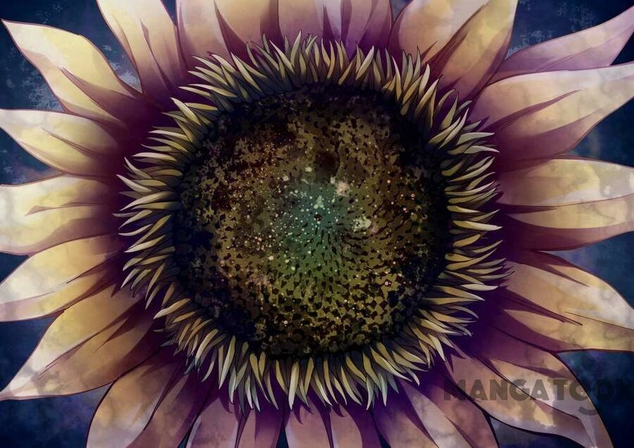 Mạt Thế Phàm Nhân Chapter 247 - 13