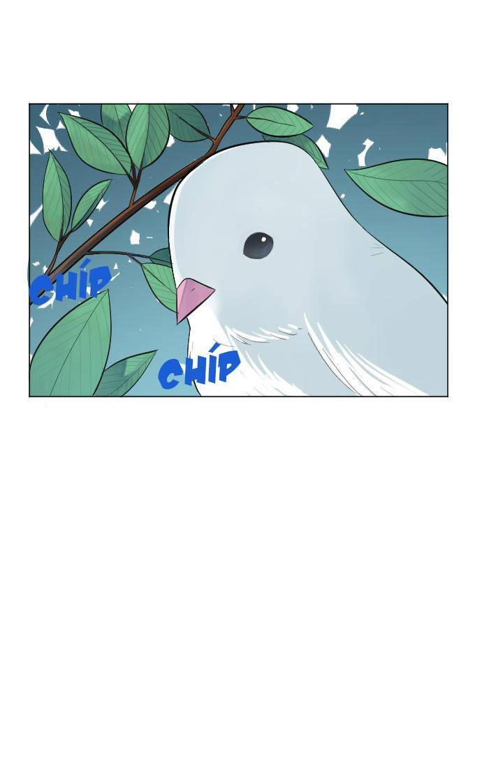 Good/Bad Fortune Chapter 1 - 65