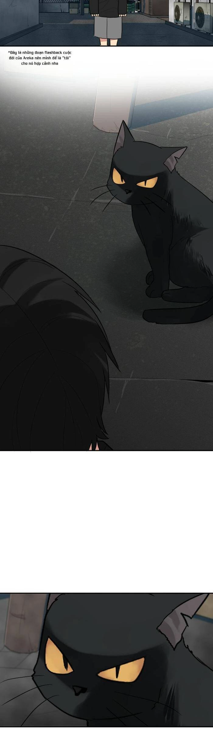 Good/Bad Fortune Chapter 76 - 11