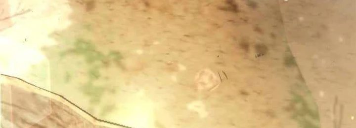 Trường Mẫu Giáo Thần Thú Chapter 50 - 186