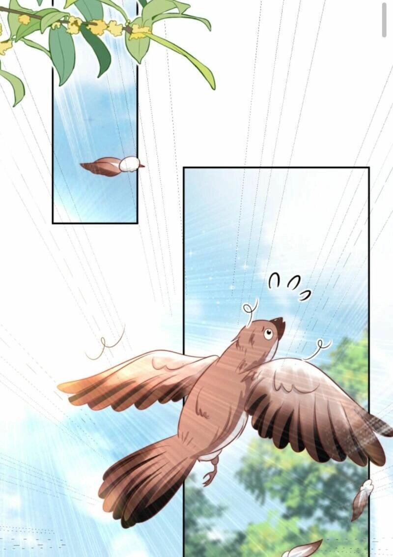 Tiểu Sư Muội Rõ Ràng Rất Mạnh, Nhưng Lại Quá Tấu Hề Chapter 50 - 7