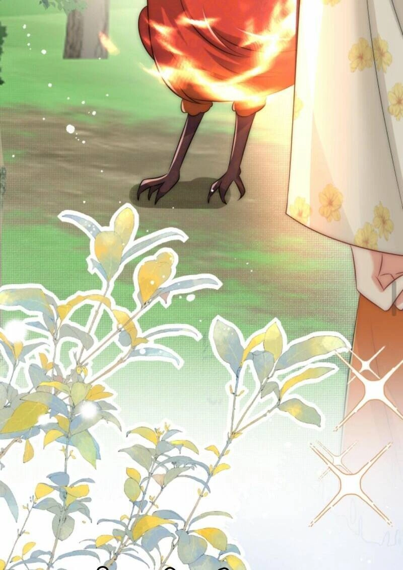 Tiểu Sư Muội Rõ Ràng Rất Mạnh, Nhưng Lại Quá Tấu Hề Chapter 56 - 16