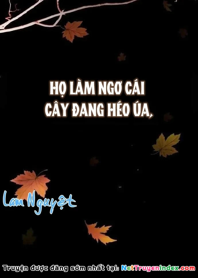 Thiên Tài Nhìn Thấu Thế Giới Chapter 51 - 48