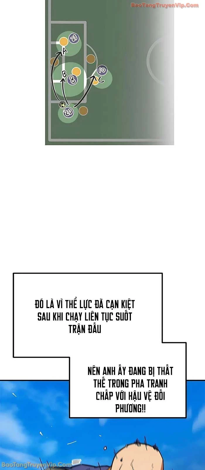 Tôi Bị Hiểu Lầm Là Siêu Sao Trên Sân Cỏ Chapter 48 - 65