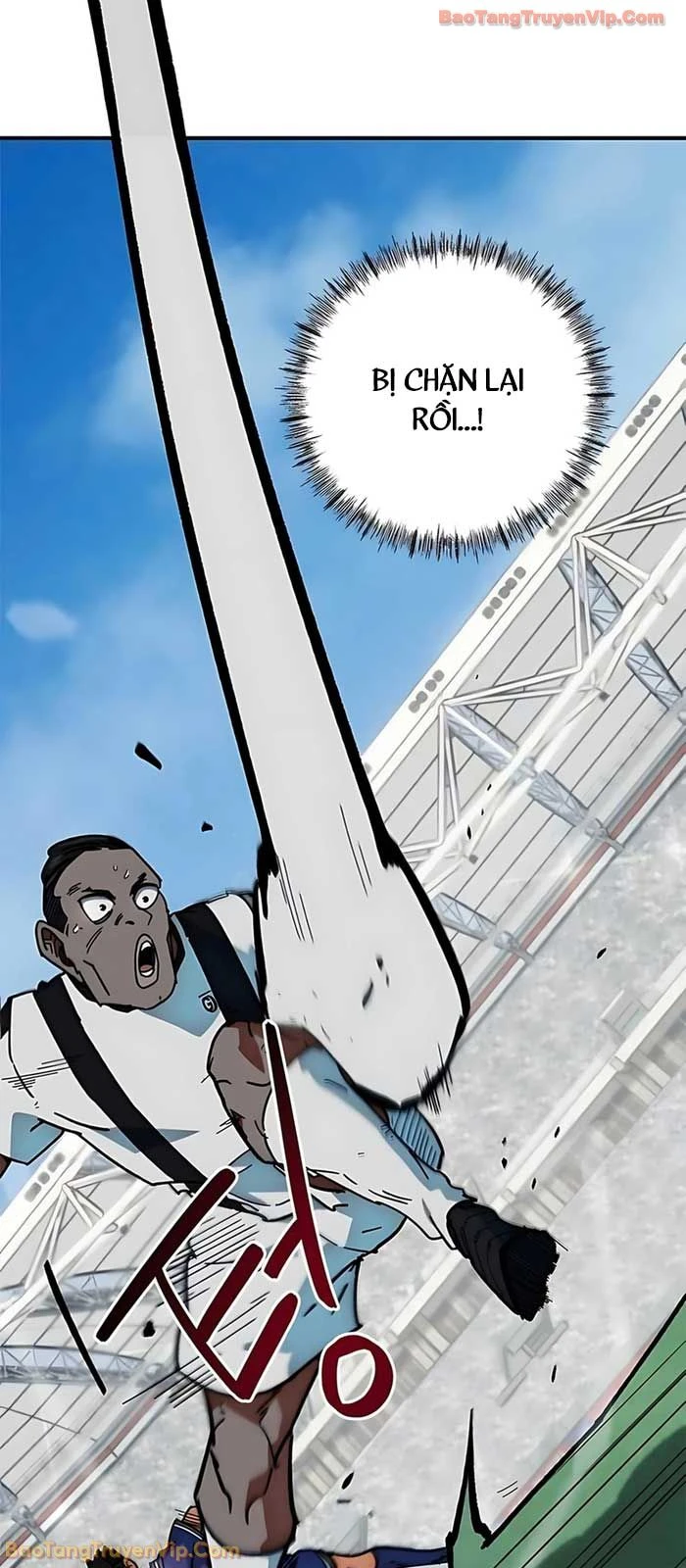 Tôi Bị Hiểu Lầm Là Siêu Sao Trên Sân Cỏ Chapter 51 - 59