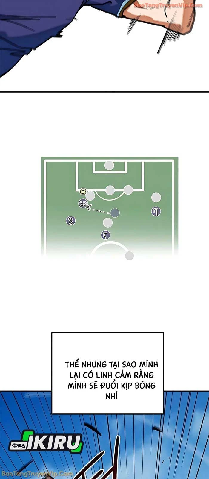 Tôi Bị Hiểu Lầm Là Siêu Sao Trên Sân Cỏ Chapter 57 - 65