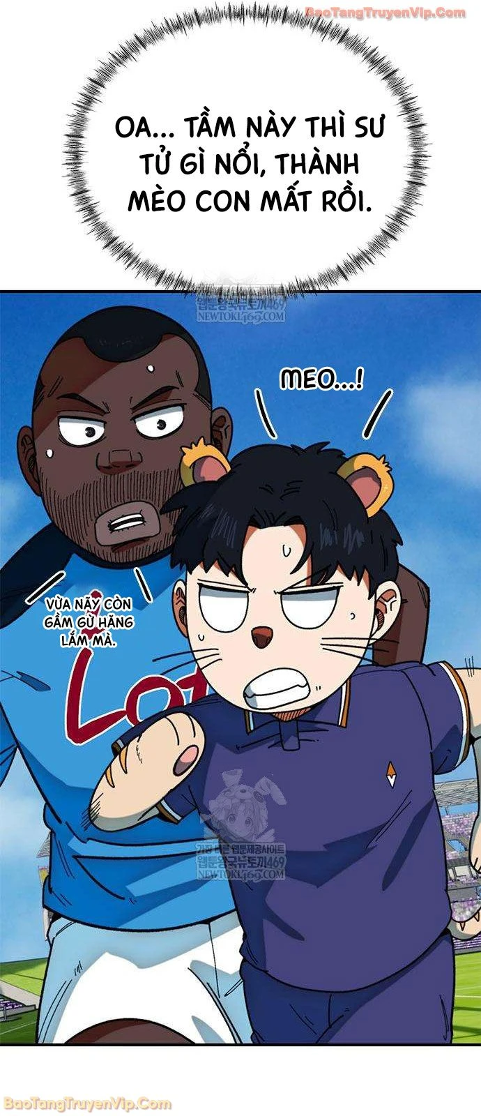 Tôi Bị Hiểu Lầm Là Siêu Sao Trên Sân Cỏ Chapter 59 - 36