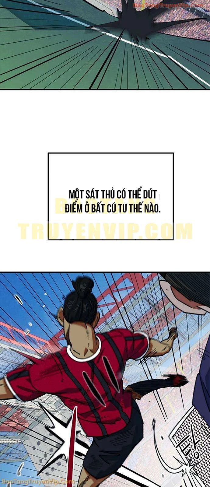 Tôi Bị Hiểu Lầm Là Siêu Sao Trên Sân Cỏ Chapter 61 - 36