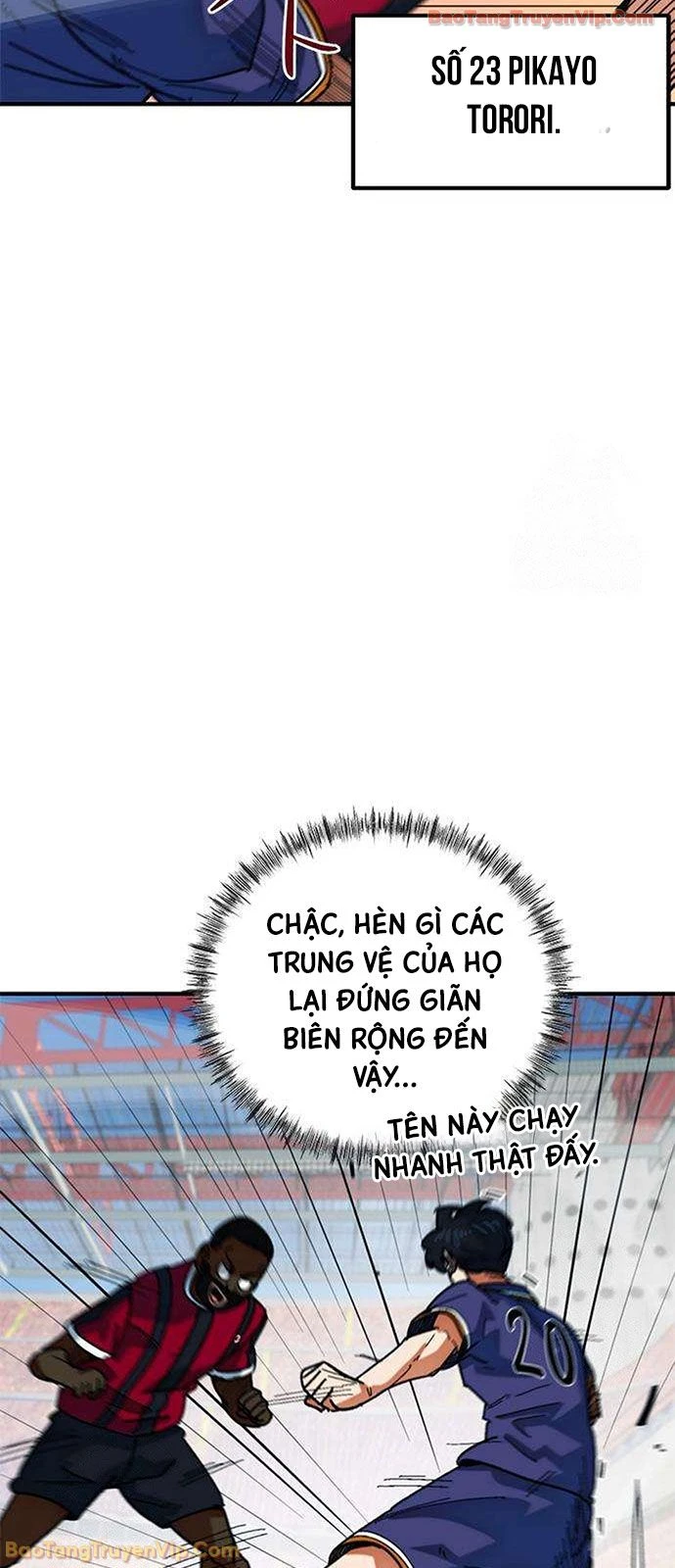 Tôi Bị Hiểu Lầm Là Siêu Sao Trên Sân Cỏ Chapter 61 - 68