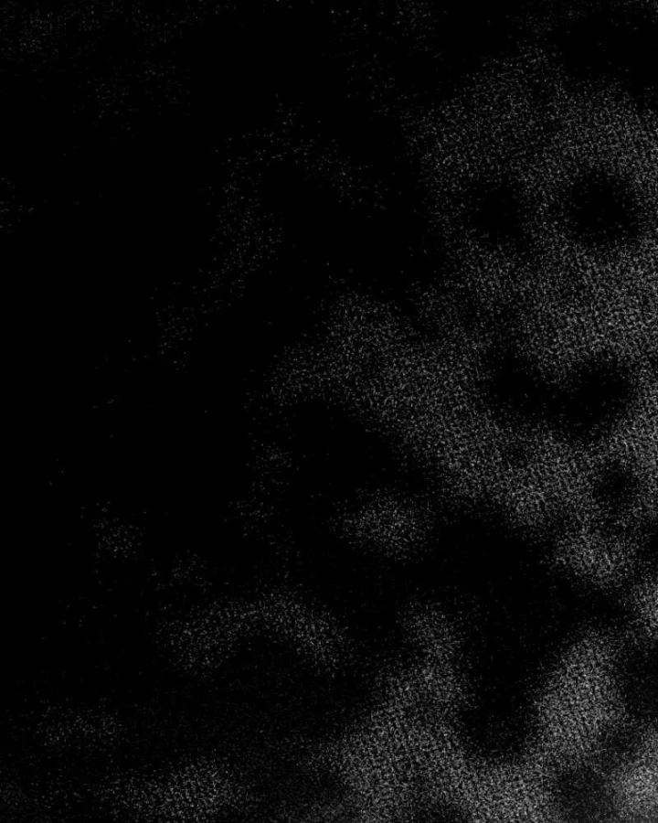 Tôi Sẽ Vực Dậy Gia Tộc Này Chapter 63 - 132