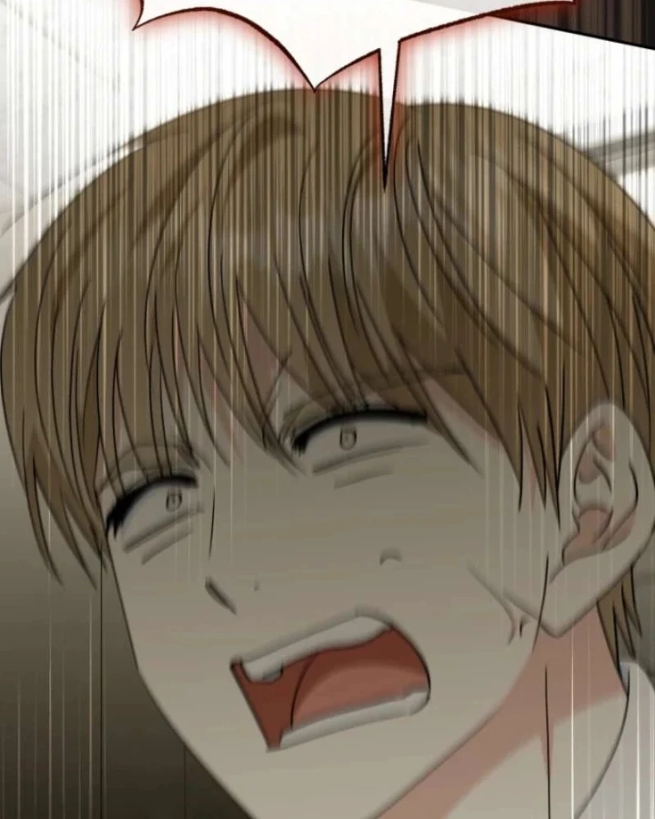 Tôi Sẽ Vực Dậy Gia Tộc Này Chapter 65 - 84