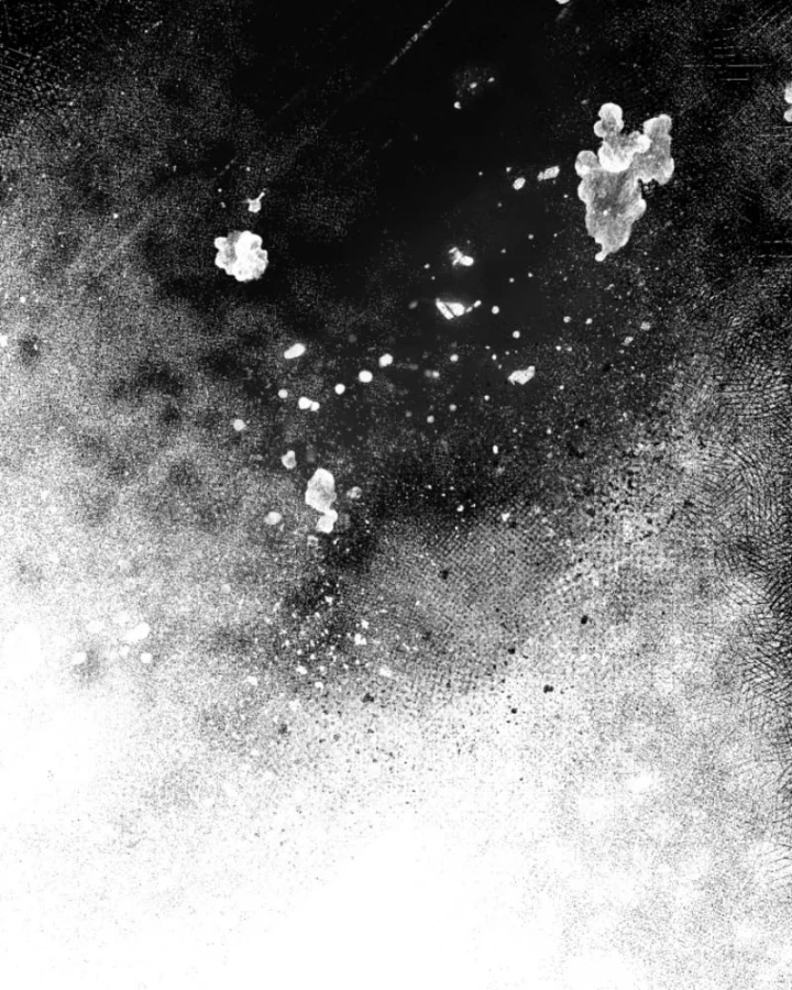 Tôi Sẽ Vực Dậy Gia Tộc Này Chapter 66 - 152